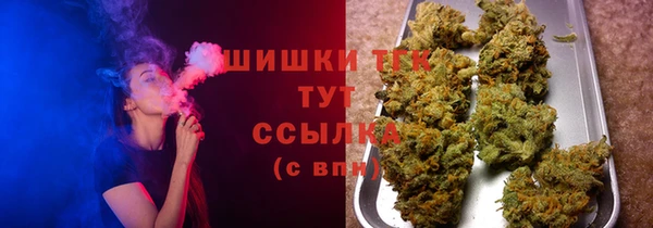 бошки Верхний Тагил