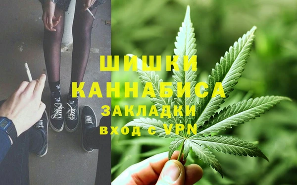 бошки Верхний Тагил