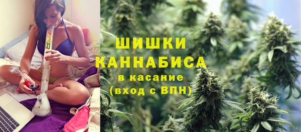 бошки Верхний Тагил