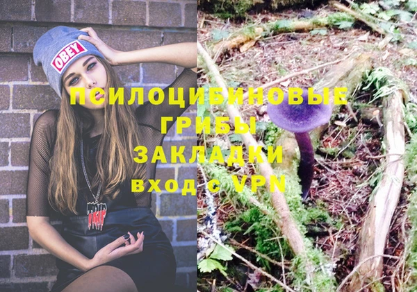 бошки Верхний Тагил