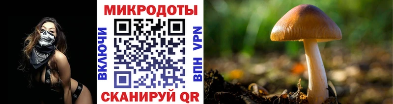 Псилоцибиновые грибы Magic Shrooms  Пенза 